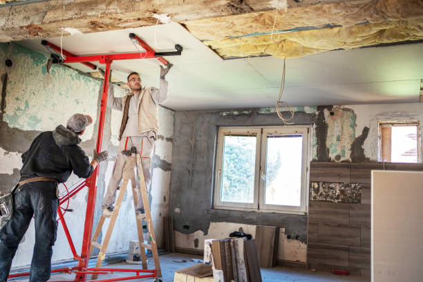 Best Insulation Repair Services  in Northglenn, CO