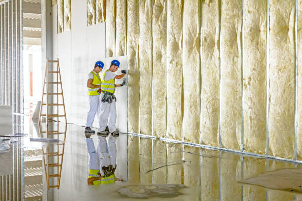 Best Home Insulation Services  in Northglenn, CO